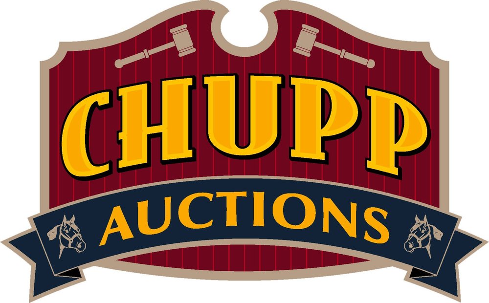 Chupp's Pony Sale