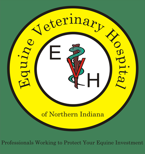 Equine Veterinary Hospital