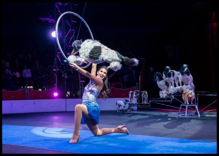The Shipshewana Circus