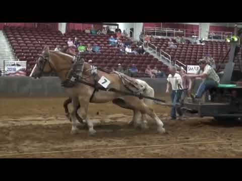 Midwest Draft Horse Classic