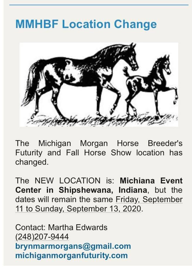 MI Morgan Futurity