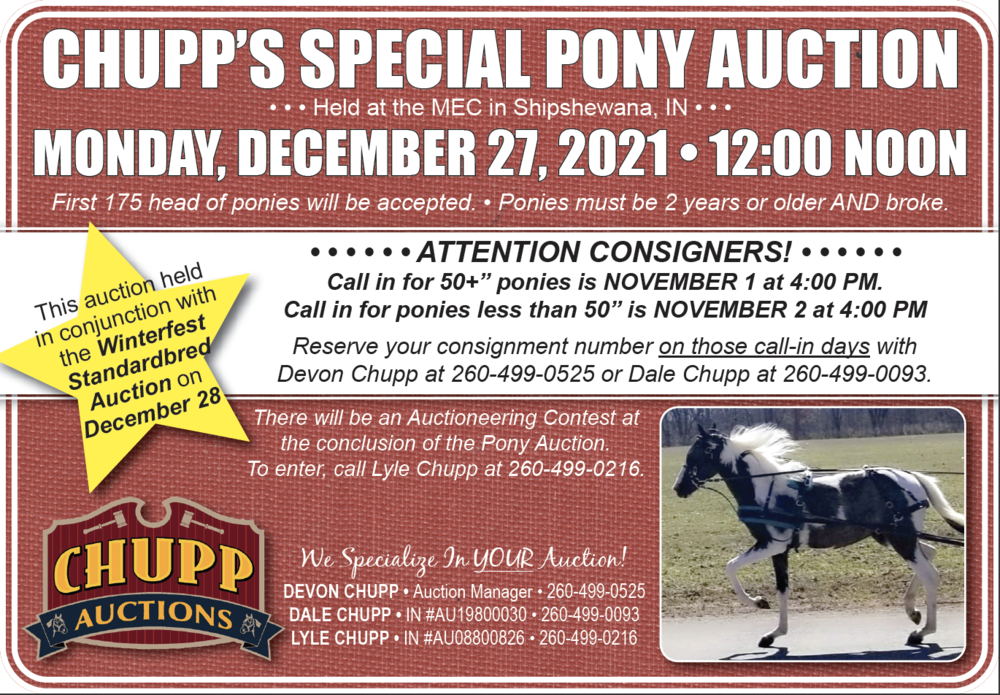 Chupp's Special Pony Auction