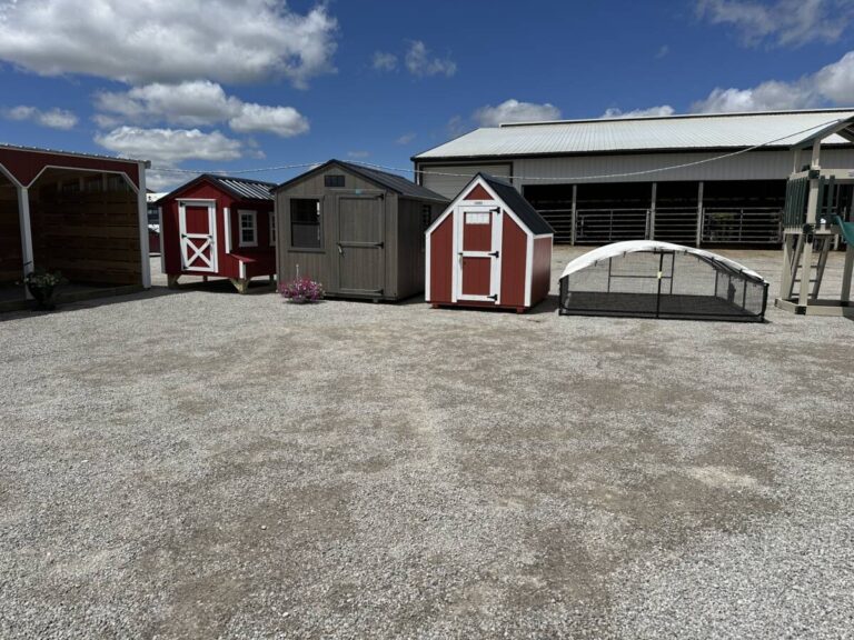 haiti-benefit-auction-items-mini-sheds